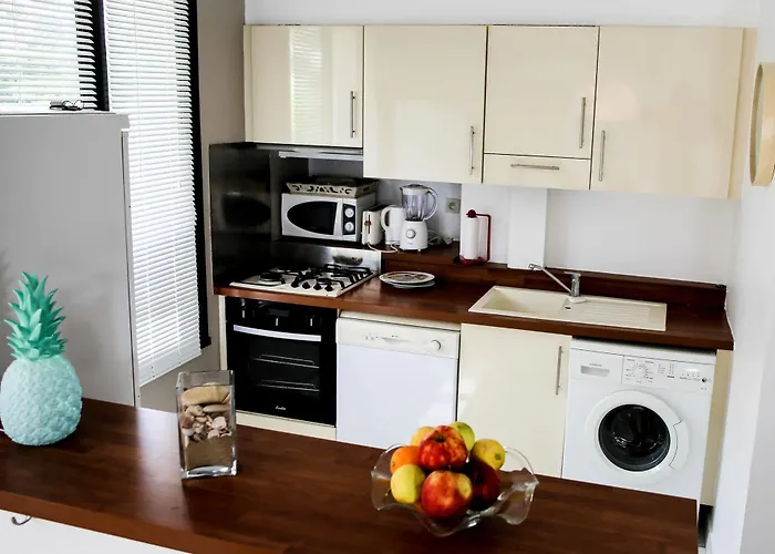 F3 - Guerin Locations Appartement Biarritz