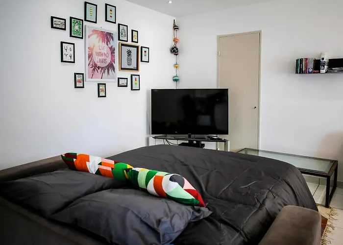 F3 - Guerin Locations Appartement